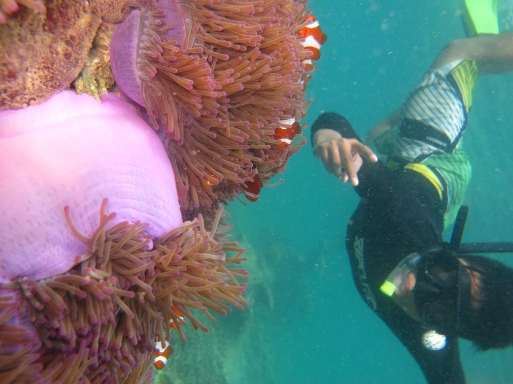Ombak Dive Resort Perhentian Island Pulau Perhentian Kecil Bagian luar foto
