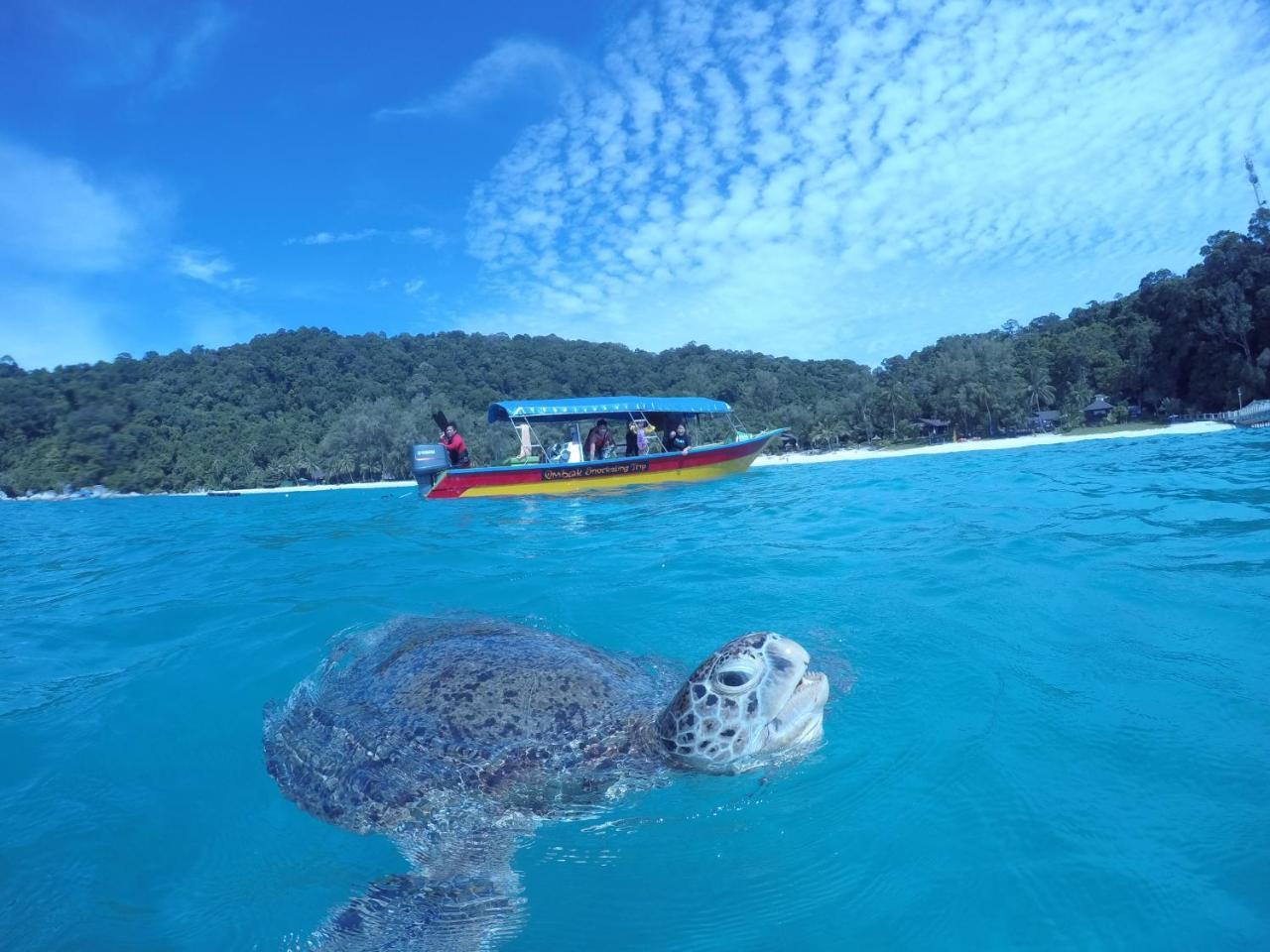 Ombak Dive Resort Perhentian Island Pulau Perhentian Kecil Bagian luar foto